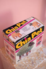 Vintage 80’s Ram Chia Pet