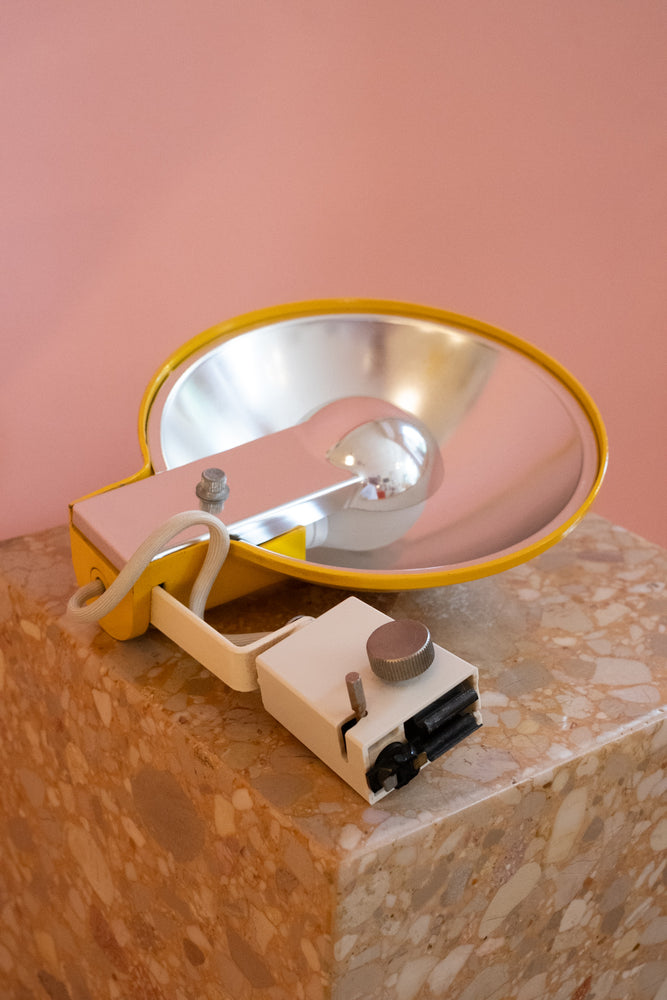 Vintage Lightolier Track Lights