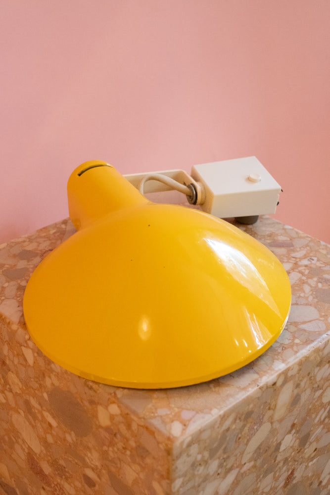 Vintage Lightolier Track Lights