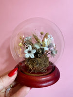 Vintage Butterfly Terrarium