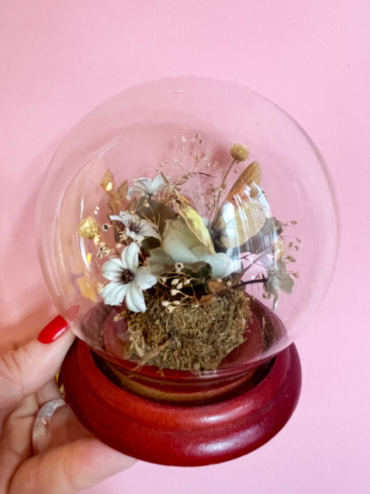 Vintage Butterfly Terrarium