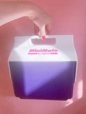 Vintage MiniMate Cooler