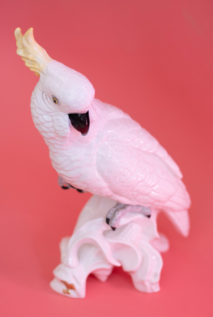 Mid-Century Modern Crown Staffordshire Cockatoo by J. T. Jones