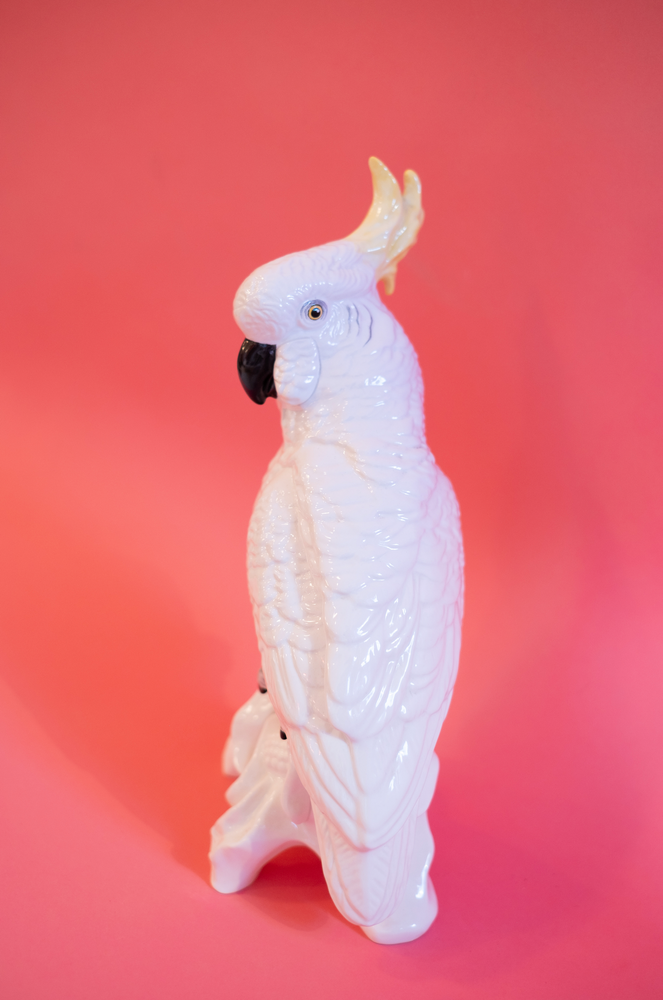 Mid-Century Modern Crown Staffordshire Cockatoo by J. T. Jones