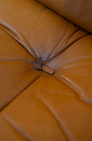 'Amazonas' Rosewood Sofa and Chair by Jean Gillon for Italma, Brazil, c. 1970s