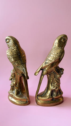 Brass Parrot Bookends