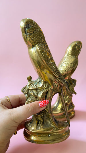 Brass Parrot Bookends