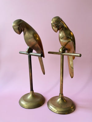 Brass Parrot on Perch