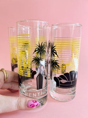 Vintage 1980's Panache Penthouse Glasses