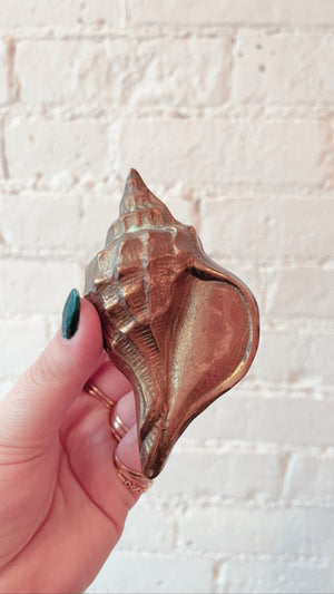 Brass Seashell
