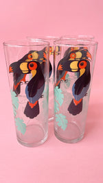 Vintage Toucan Collins Glasses