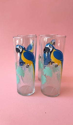 Vintage Parrot Collins Glasses