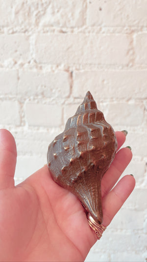 Brass Seashell