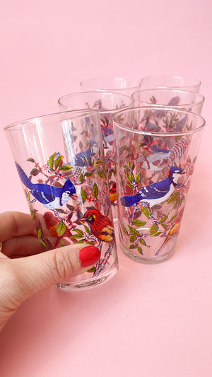 Vintage Luminarc Bird Glasses