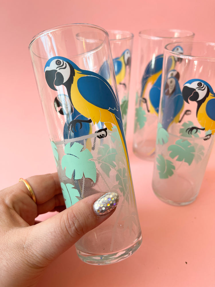 Vintage Parrot Collins Glasses