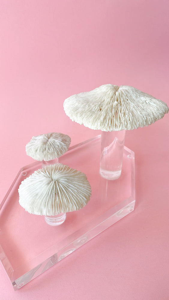 Vintage Coral and Lucite Mushroom Sculpture