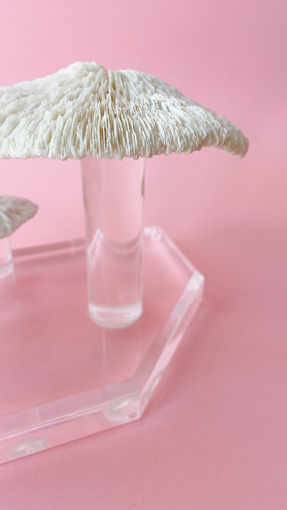 Vintage Coral and Lucite Mushroom Sculpture