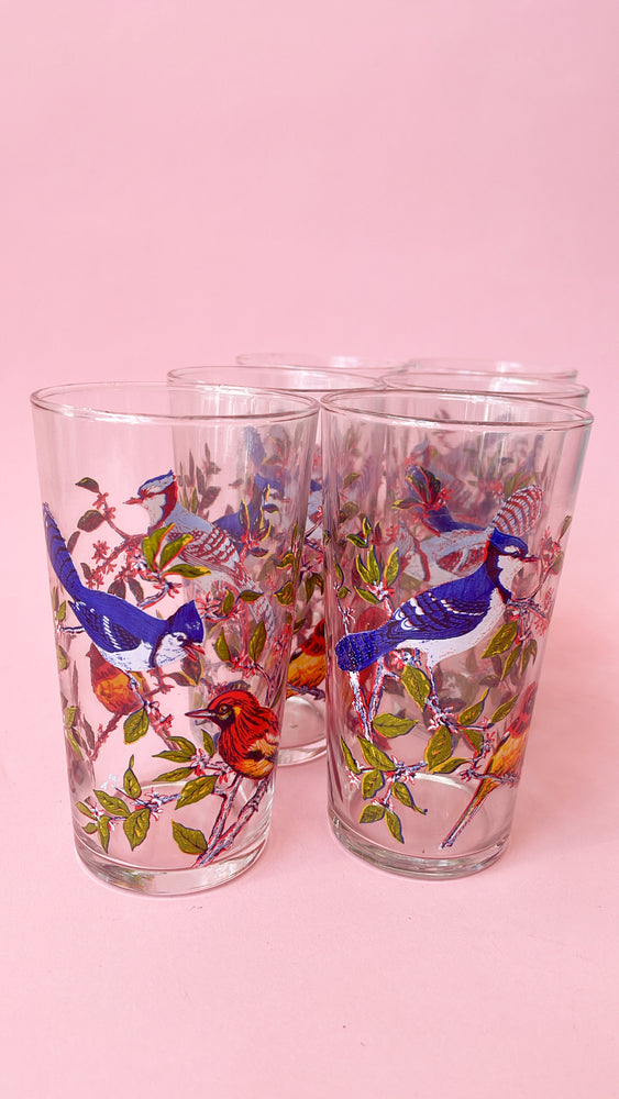 Vintage Luminarc Bird Glasses