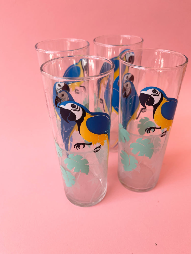 Vintage Parrot Collins Glasses