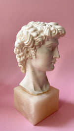 Vintage A. Giannelli Alabaster David Bust on Marble Base